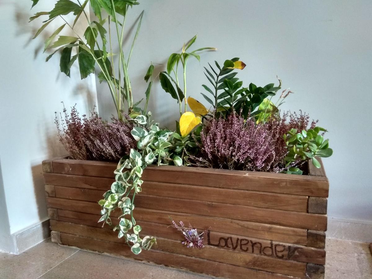 Lavender Apartment Каламата Екстериор снимка